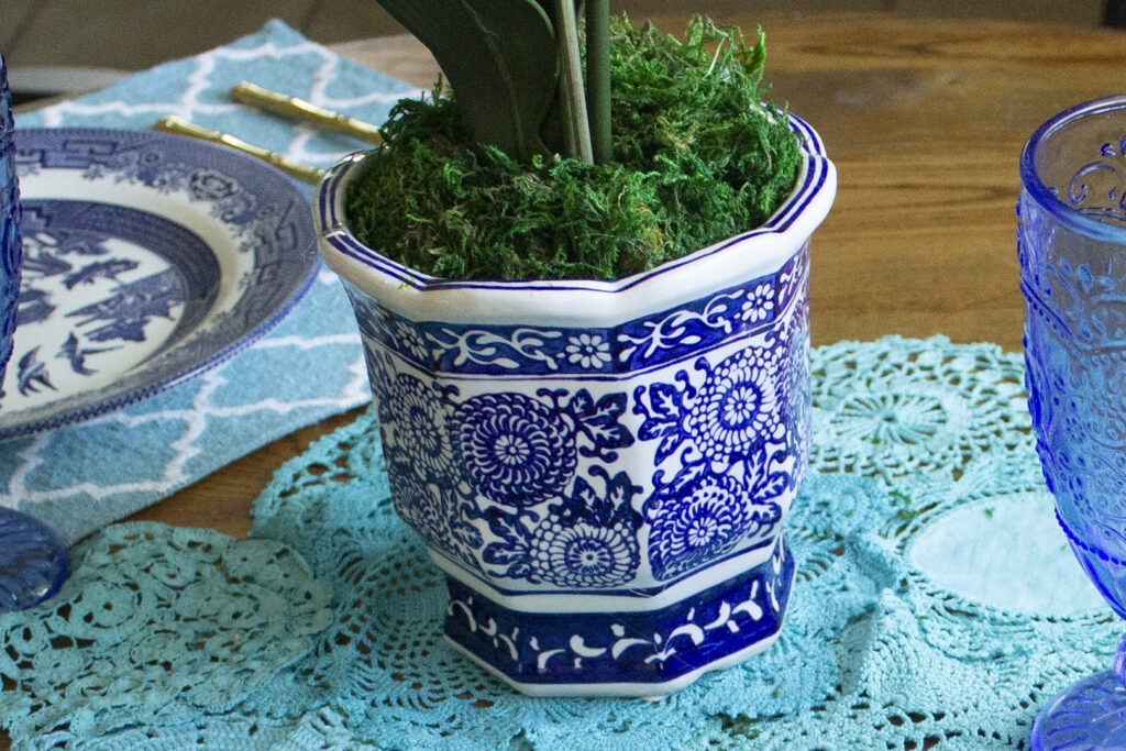 Blue and White Flower Pot filled with green moss