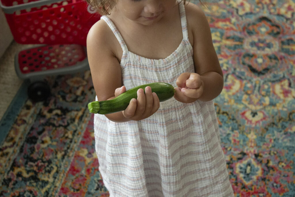 Little Girl holding a fresh zucchini